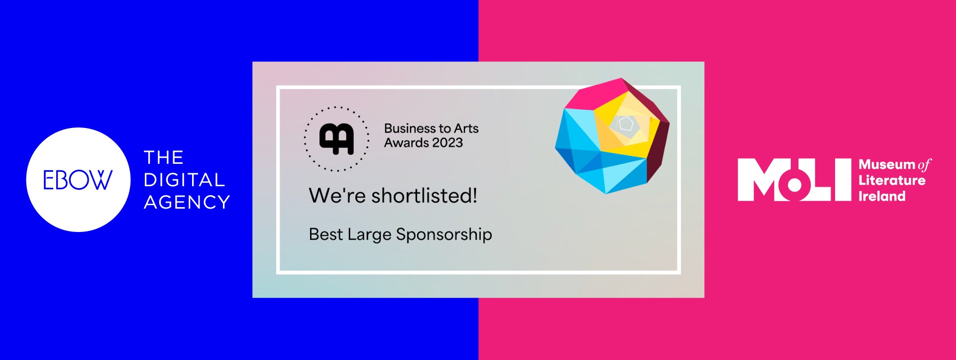Ebow and the Museum of Literature Ireland have been nominated for a Business to Arts award.