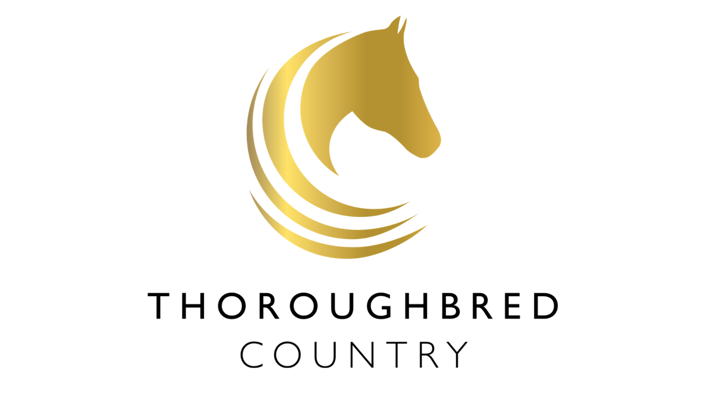 Branding for Thoroughbred Country